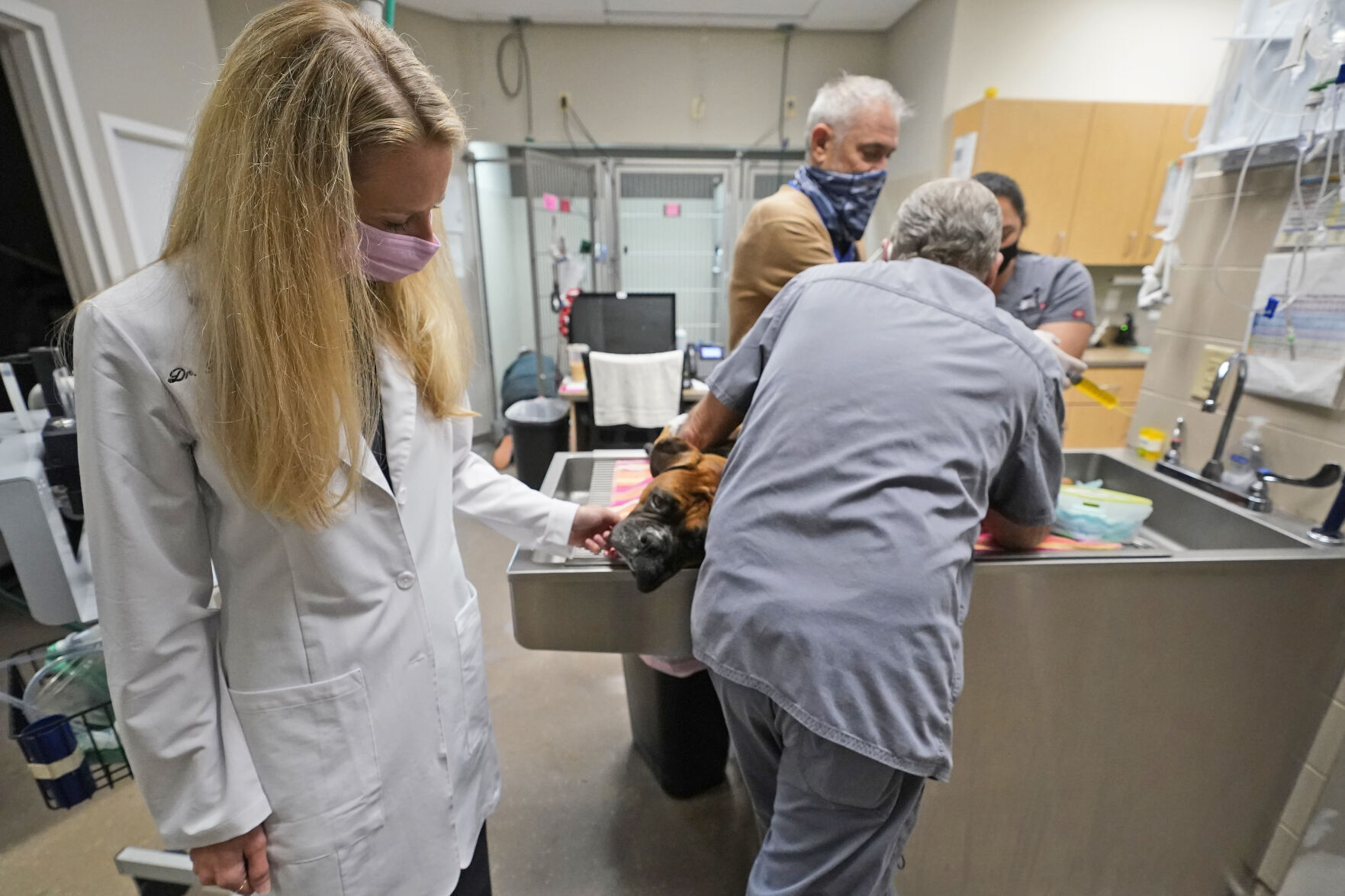 Virus Outbreak Veterinarian Backlog